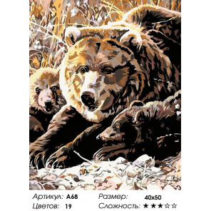 Количество цветов и сложность Семья медведей Раскраска картина по номерам на холсте A68