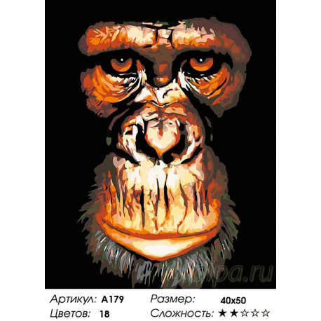 Количество цветов и сложность Портрет обезьяны Раскраска картина по номерам на холсте A179