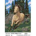 Бегущий конь Раскраска картина по номерам на холсте