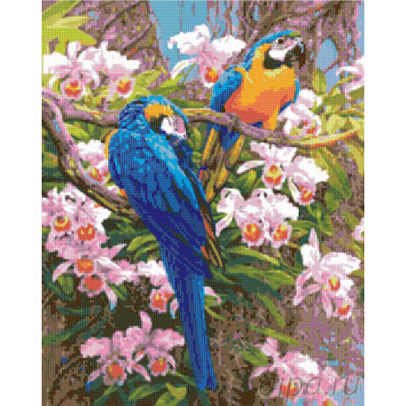  Попугаи в цветах Алмазная вышивка мозаика DI-W355
