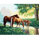 Лошади у ручья Раскраска по номерам акриловыми красками на холсте Iteso