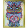 Раскладка Сова с выразительными перьями Алмазная вышивка мозаика 5D 5DZX013