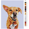 Схема Внимательный пес Раскраска по номерам на холсте Живопись по номерам A221