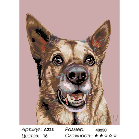Количество цветов и сложность Служебный пес Раскраска по номерам на холсте Живопись по номерам A223
