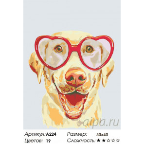 Количество цветов и сложность Влюбленный пес Раскраска по номерам на холсте Живопись по номерам A224