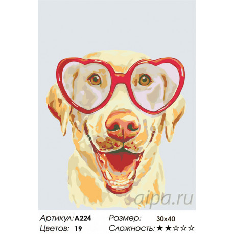 Количество цветов и сложность Влюбленный пес Раскраска по номерам на холсте Живопись по номерам A224