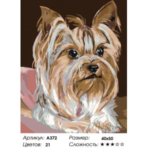  Послушная собачка Раскраска по номерам на холсте Живопись по номерам A372