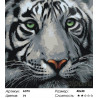 Количество цветов и сложность Мудрый тигр Раскраска по номерам на холсте Живопись по номерам A373