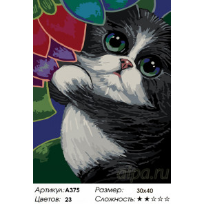 Количество цветов и сложность Котик в саду Раскраска по номерам на холсте Живопись по номерам A375