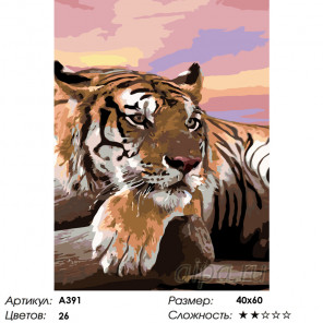  Тигр на закате Раскраска по номерам на холсте Живопись по номерам A391