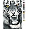 Схема Ярость тигра Раскраска по номерам на холсте Живопись по номерам A395