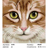 Количество цветов и сложность Кошка Люся Раскраска по номерам на холсте Живопись по номерам A396