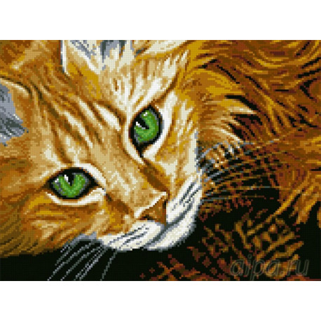  Рыжий кот Алмазная мозаика вышивка Паутинка М-367