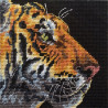 Величественный тигр 07225 Набор для вышивания Dimensions ( Дименшенс )