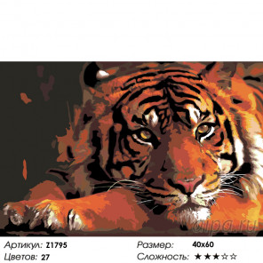 Количество цветов и сложность Тигр в уединении Раскраска по номерам на холсте Живопись по номерам Z1795