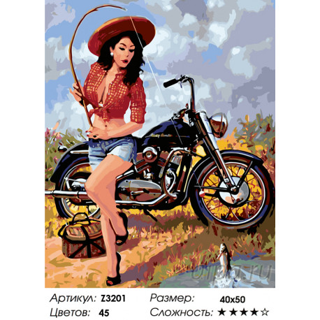 Количество цветов и сложность Мотоциклистка Раскраска по номерам на холсте Живопись по номерам Z3201