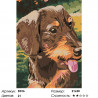 Количество цветов и сложность Добрый пес Раскраска по номерам на холсте Живопись по номерам D016