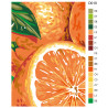Раскладка Апельсиновый аромат Раскраска по номерам на холсте Живопись по номерам D019