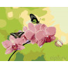  Розовые орхидеи Раскраска по номерам на холсте Живопись по номерам ARTH-AH243
