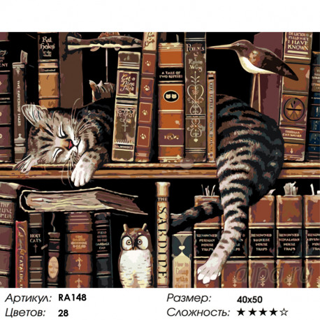 Количество цветов и сложность Отдых ученого кота Раскраска по номерам на холсте Живопись по номерам RA148