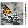 Схема Прекрасная бабочка Раскраска по номерам на холсте Живопись по номерам RA155