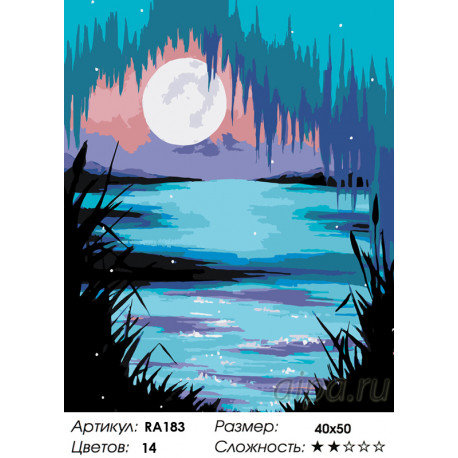 Количество цветов и сложность Волшебная луна Раскраска по номерам на холсте Живопись по номерам RA183
