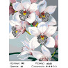 Количество цветов и сложность Стильные орхидеи Раскраска по номерам на холсте Живопись по номерам F45