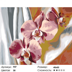  Шелковые орхидеи Раскраска по номерам на холсте Живопись по номерам F47