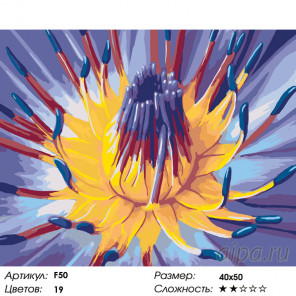 Количество цветов и сложность Сердце цветка Раскраска по номерам на холсте Живопись по номерам F50