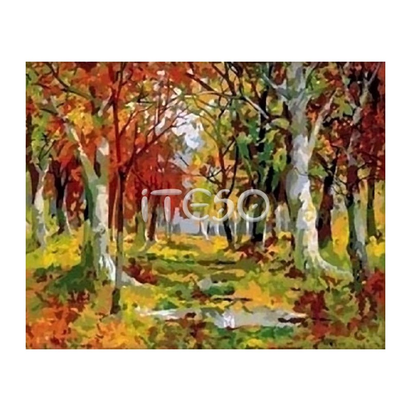 Раскраска осень для детей 6 лет | Осенние листья и осенний лес: 22 разукрашки