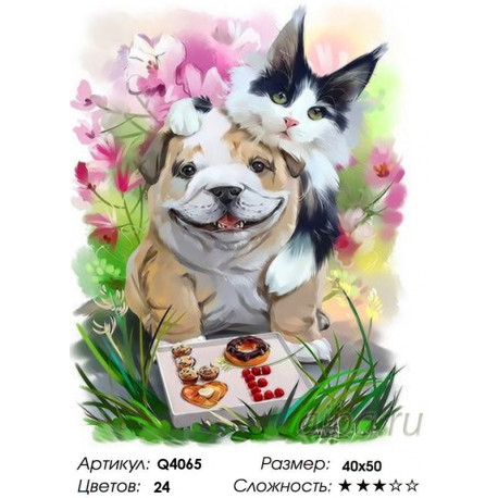 Количество цветов и сложность Как кошка с собакой Раскраска картина по номерам на холсте Q4065