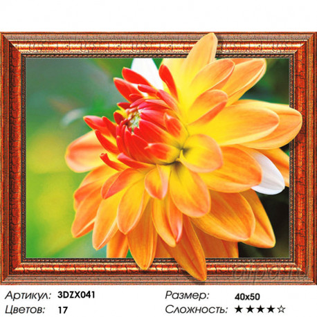 Количество цветов и сложность Алмазная мозаика 3D 40x50 3DZX041