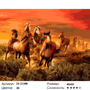  Табун бегущих лошадей Раскраска картина по номерам на холсте ZX 21348