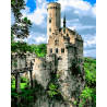  Рыцарский замок Раскраска картина по номерам на холсте ZX 20737