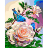  Птицы на розах Раскраска картина по номерам на холсте ZX 20867