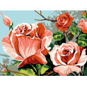 Розовый куст Раскраска картина по номерам на холсте