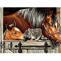 Котенок и лошади Раскраска картина по номерам на холсте