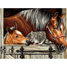  Котенок и лошади Раскраска картина по номерам на холсте EX5284