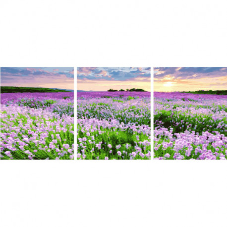  Поле весенних цветов Триптих Раскраска картина по номерам на холсте PX5241