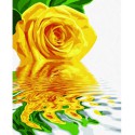 Желтая роза Раскраска по номерам Schipper (Германия)