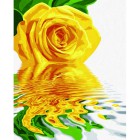 Желтая роза Раскраска по номерам акриловыми красками Schipper (Германия)