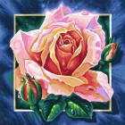 Роза Раскраска по номерам акриловыми красками Schipper (Германия)