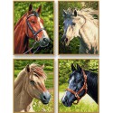 Лошади Раскраски по номерам акриловыми красками Schipper (Германия)