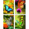 Бабочки Раскраски по номерам Schipper (Германия)