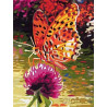  Бабочка на клевере Раскраска картина по номерам на холсте EX5081