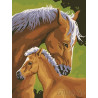  Лошадь и жеребенок Раскраска картина по номерам на холсте EX5009