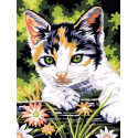 Котенок на прогулке Раскраска картина по номерам на холсте