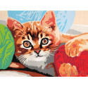 Котенок и клубок Раскраска картина по номерам на холсте