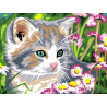  Котенок Раскраска картина по номерам на холсте EX5651