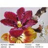 Количество цветов и сложность Ветка магнолии Алмазная частичная вышивка (мозаика) Molly KM0043